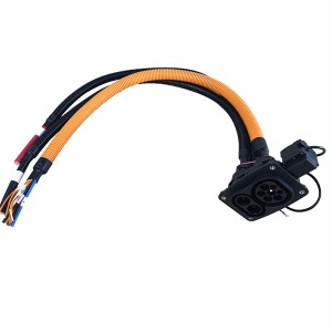 CCS Type 2 prise Combo 2 entrées IEC 62196-3 80A 125A 150A 200A DC prise de charge rapide entrée